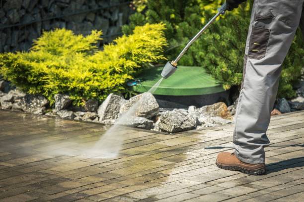 Animal Enclosure Cleaning in Delray Beach, FL